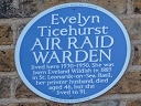 Ticehurst, Evelyn (id=9740)